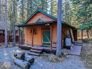 Photo 9: 135 5417 Highway 579: Rural Mountain View County Detached for sale : MLS®# A1183770