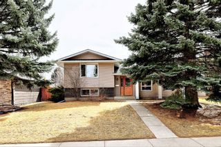 Main Photo: 207 Parkvalley Drive SE in Calgary: Parkland Detached for sale : MLS®# A1202512
