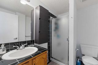 Photo 17: 91 Coventry Lane NE in Calgary: Coventry Hills Detached for sale : MLS®# A2115556