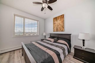 Photo 14: 313 2727 28 Avenue SE in Calgary: Dover Apartment for sale : MLS®# A2125094