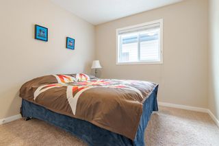 Photo 26: 247 Walden Mews SE in Calgary: Walden Detached for sale : MLS®# A1218851