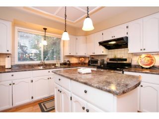 Photo 10: 13568 N 60A Avenue in Surrey: Panorama Ridge House for sale : MLS®# F1432245