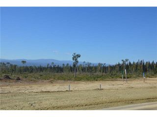 Photo 18: LOT 4 BELL Place in Mackenzie: Mackenzie -Town Land for sale in "BELL PLACE" : MLS®# N227296