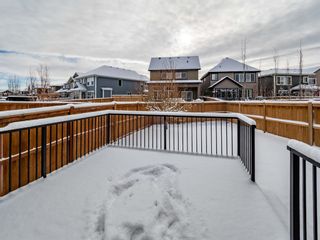 Photo 32: 87 Masters Place SE in Calgary: Mahogany Detached for sale : MLS®# A1183560
