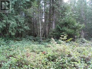 Photo 5: 362 Mill Road in Thetis Island: Land for sale : MLS®# 368794