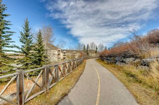 Photo 27: 219 3000 Citadel Meadow Point NW in Calgary: Citadel Apartment for sale : MLS®# A2130196