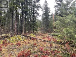 Photo 2: 40 Stoney Road in Enderby: Vacant Land for sale : MLS®# 10288544