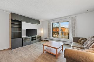 Photo 5: 202 647 1 Avenue NE in Calgary: Bridgeland/Riverside Apartment for sale : MLS®# A1193221