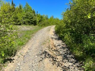 Photo 2: 15 acres Brookville Branch in Brookville: 108-Rural Pictou County Vacant Land for sale (Northern Region)  : MLS®# 202213274