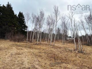 Photo 11: 4539 Shulie Road in Shulie: 102S-South of Hwy 104, Parrsboro Residential for sale (Northern Region)  : MLS®# 202405249