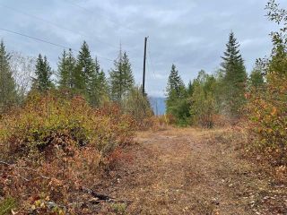 Photo 19: 292 Terry Road, in Enderby: Vacant Land for sale : MLS®# 10239679