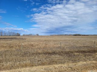 Photo 12: Radisson 158 acres Pastureland (Que) in Great Bend: Farm for sale (Great Bend Rm No. 405)  : MLS®# SK965878