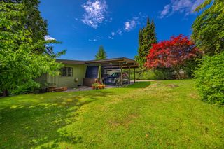 Photo 11: 1085 PALMERSTON Avenue in West Vancouver: British Properties House for sale : MLS®# R2848932