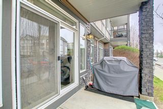 Photo 36: 102 6703 New Brighton Avenue SE in Calgary: New Brighton Apartment for sale : MLS®# A1215599