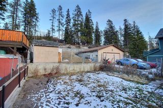 Photo 5: 264 Three Sisters Drive: Canmore Detached for sale : MLS®# A2095880