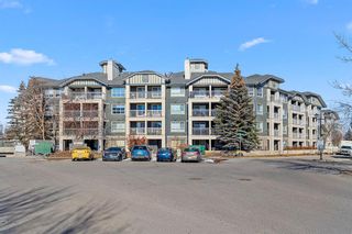Photo 1: 233 35 Richard Court SW in Calgary: Lincoln Park Apartment for sale : MLS®# A2038444