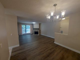 Photo 9: 528 10120 Brookpark Boulevard SW in Calgary: Braeside Apartment for sale : MLS®# A2046129