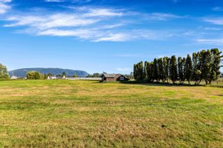 Photo 25: 18825 OLD DEWDNEY TRUNK Road in Pitt Meadows: North Meadows PI House for sale : MLS®# R2860616
