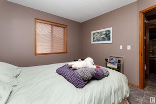 Photo 29: 15206 49A Street in Edmonton: Zone 02 House for sale : MLS®# E4379276