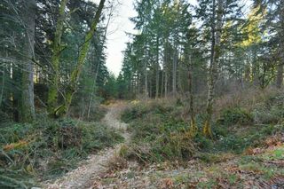 Photo 18: 1481 REED Road in Gibsons: Gibsons & Area House for sale (Sunshine Coast)  : MLS®# R2696395