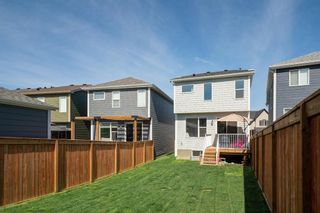 Photo 37: 26 Cranbrook Terrace SE in Calgary: Cranston Detached for sale : MLS®# A1226500