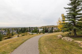 Photo 36: 201 MACEWAN PARK View NW in Calgary: MacEwan Glen Detached for sale : MLS®# C4232497