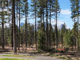 Photo 13: 412 Mountain Tranquility Place in Canmore: Vacant Land for sale : MLS®# A2049449
