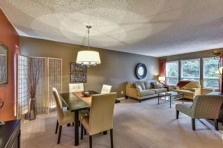 Photo 3: 1250 HORNBY STREET in Coquitlam: New Horizons House for sale : MLS®# R2033219