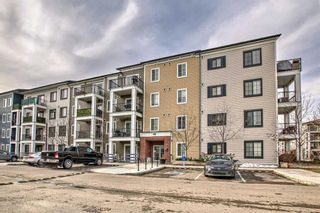 Photo 25: 3116 215 Legacy Boulevard SE in Calgary: Legacy Apartment for sale : MLS®# A2092649