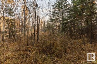 Photo 29: 6 51112 RGE RD 260: Rural Parkland County Vacant Lot/Land for sale : MLS®# E4316779