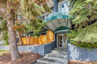 Photo 20: 4 1606 34 Avenue SW in Calgary: South Calgary Apartment for sale : MLS®# A2090245