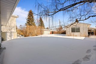 Photo 13: 3316 Caribou Drive NW in Calgary: Collingwood Detached for sale : MLS®# A2033211