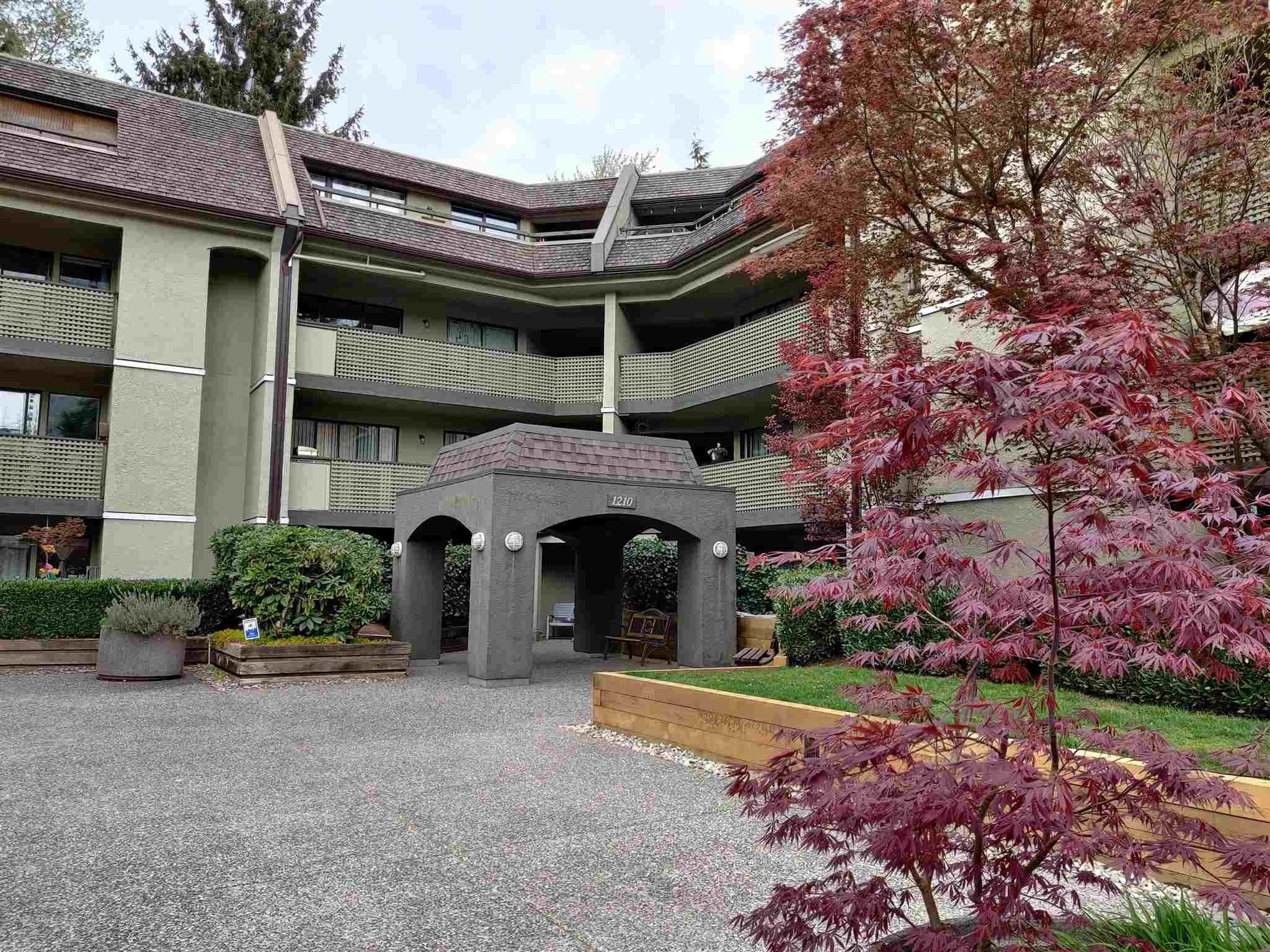 Main Photo: 201 1210 PACIFIC STREET in : North Coquitlam Condo for sale : MLS®# R2601014