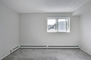 Photo 8: 4221 4975 130 Avenue SE in Calgary: McKenzie Towne Apartment for sale : MLS®# A1080601
