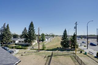 Photo 49: 225 1727 54 Street SE in Calgary: Penbrooke Meadows Apartment for sale : MLS®# A1256329