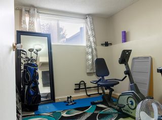 Photo 16: 320 Abinger Crescent NE in Calgary: Abbeydale Detached for sale : MLS®# A2050283