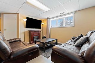 Photo 17: 383 Murray Avenue in Winnipeg: Riverbend Residential for sale (4E)  : MLS®# 202305472