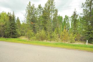 Photo 39: 982 MCGREGOR Road in Williams Lake: Williams Lake - Rural East House for sale : MLS®# R2899108