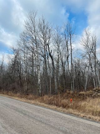 Photo 12: 2819 Cowell  Road: North Gower Vacant Land for sale (Ottawa)  : MLS®# 1369947