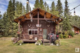 Photo 7: Rural Quesnel Hydraulic Road: Out of Province_Alberta House for sale : MLS®# E4302455