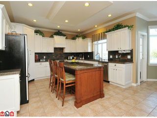 Photo 4: 21645 47A Avenue in Langley: Murrayville House for sale in "Murrayville" : MLS®# F1211168