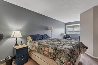 Photo 14: 108 87 Island Hwy in Campbell River: CR Campbell River Central Condo for sale : MLS®# 889961