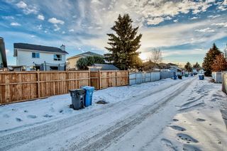 Photo 42: 52 Applewood Court SE in Calgary: Applewood Park Detached for sale : MLS®# A2018208