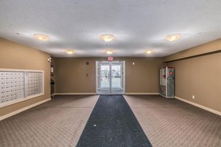 Photo 37: 1308 5 Saddlestone Way NE in Calgary: Saddle Ridge Apartment for sale : MLS®# A2037038