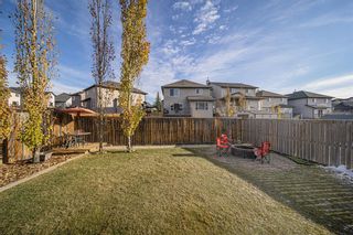 Photo 28: 18 Royal Birch Way NW in Calgary: Royal Oak Detached for sale : MLS®# A2022837