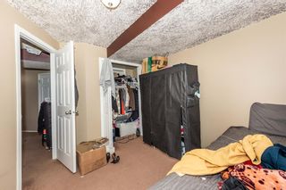 Photo 27: 169 CASTLEBROOK Way NE in Calgary: Castleridge Semi Detached (Half Duplex) for sale : MLS®# A2032790