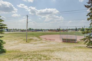 Photo 46: 736 Maidstone Drive NE in Calgary: Marlborough Park Detached for sale : MLS®# A2043591