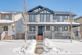 Main Photo: 50 Skyview Point Green NE in Calgary: Skyview Ranch Semi Detached (Half Duplex) for sale : MLS®# A2032763