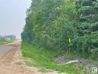 Photo 5: 56113 RGE RD 231: Rural Sturgeon County Vacant Lot/Land for sale : MLS®# E4345256