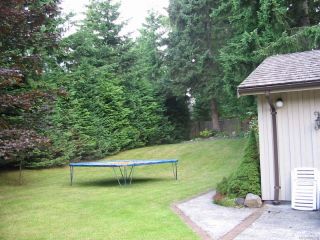 Photo 57: 4200 Forfar Rd in CAMPBELL RIVER: CR Campbell River South House for sale (Campbell River)  : MLS®# 774200